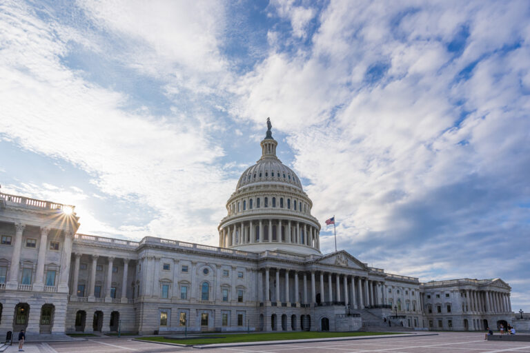 The US Capitol in Washington DC - USA