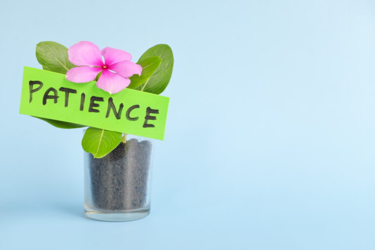 Grow and nurture patience concept. Plant on pot with flower on blue background with copy space